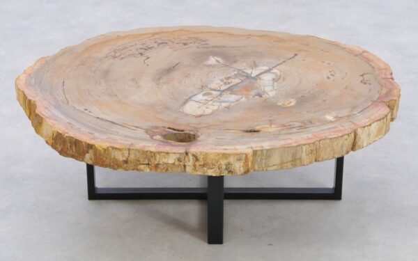 Coffee table petrified wood 42151