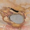 Coffee table petrified wood 42151
