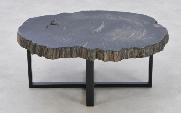 Coffee table petrified wood 42154