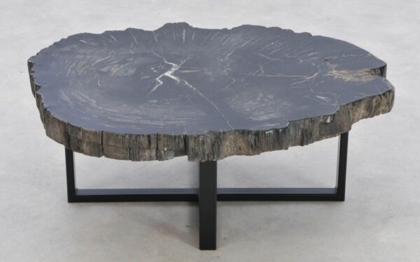Coffee table petrified wood 42157