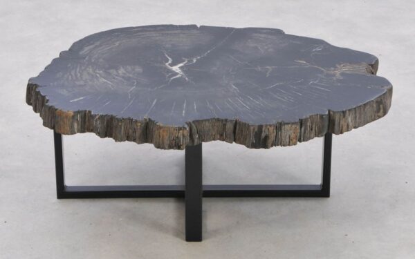 Coffee table petrified wood 42158