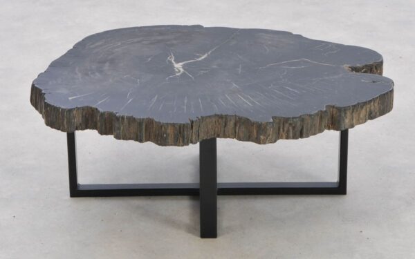 Coffee table petrified wood 42159