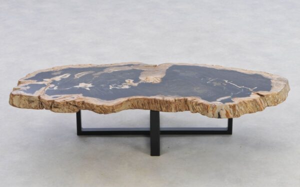 Coffee table petrified wood 42168