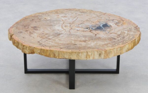 Coffee table petrified wood 42175