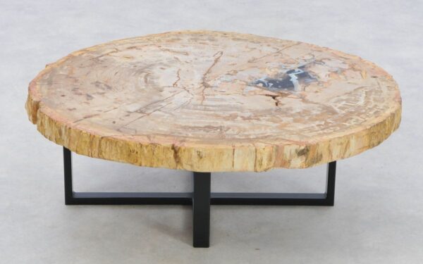 Coffee table petrified wood 42176