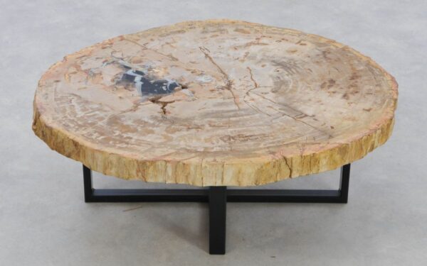 Coffee table petrified wood 42177
