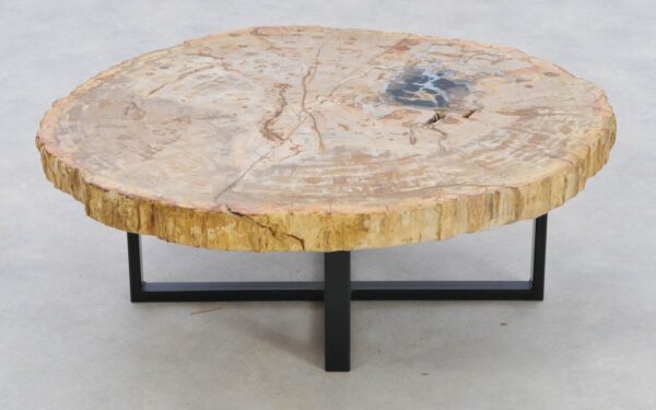 Coffee table petrified wood 42178
