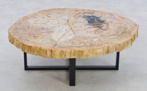 Coffee table petrified wood 42179