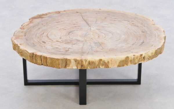 Coffee table petrified wood 42186