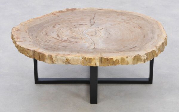 Coffee table petrified wood 42189