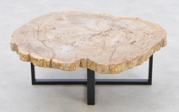 Coffee table petrified wood 42191