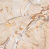 Coffee table petrified wood 42191