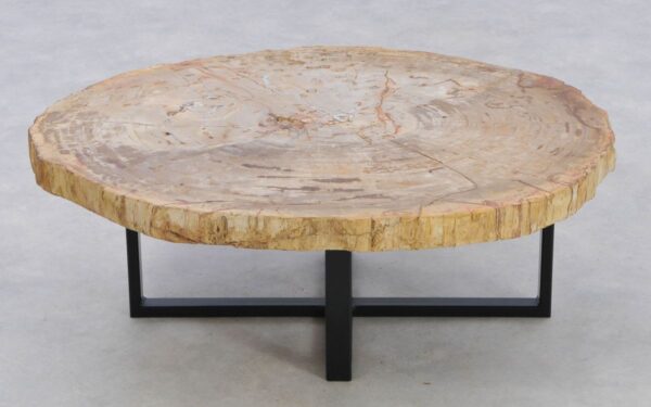Coffee table petrified wood 42192