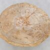 Coffee table petrified wood 42194