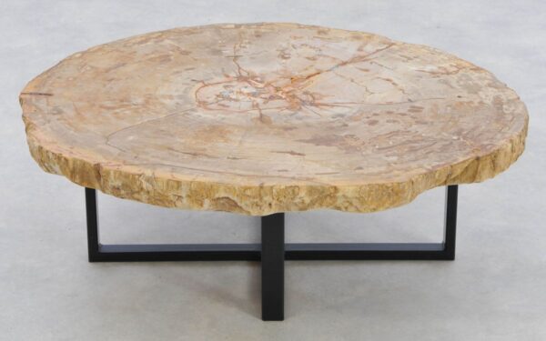 Coffee table petrified wood 42194