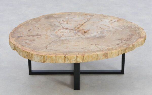 Coffee table petrified wood 42195