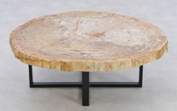 Coffee table petrified wood 42196