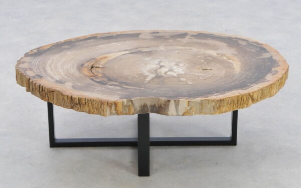 Coffee table petrified wood 42197