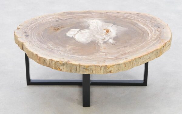 Coffee table petrified wood 42203