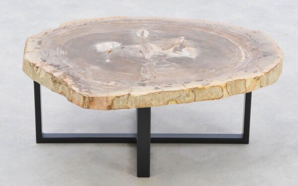 Coffee table petrified wood 42204