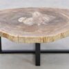 Coffee table petrified wood 42206
