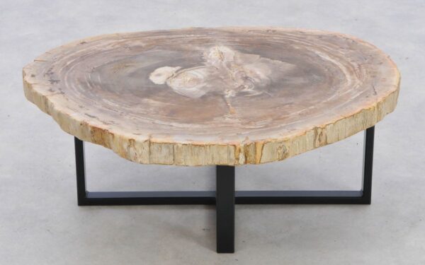 Coffee table petrified wood 42206
