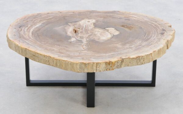 Coffee table petrified wood 42208