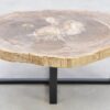 Coffee table petrified wood 42209