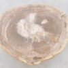 Coffee table petrified wood 42210