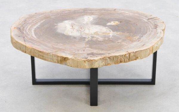 Coffee table petrified wood 42210