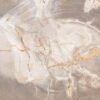 Coffee table petrified wood 42210