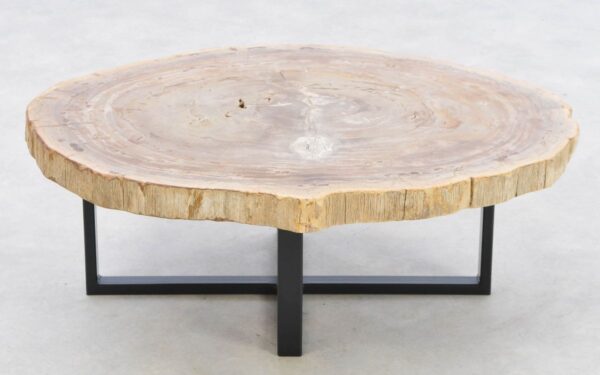 Coffee table petrified wood 42212