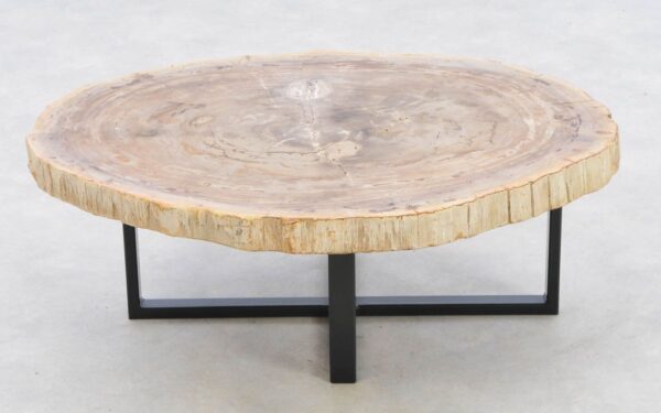 Coffee table petrified wood 42213