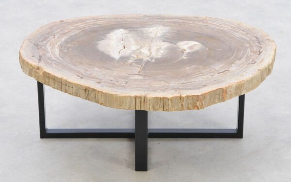 Coffee table petrified wood 42219