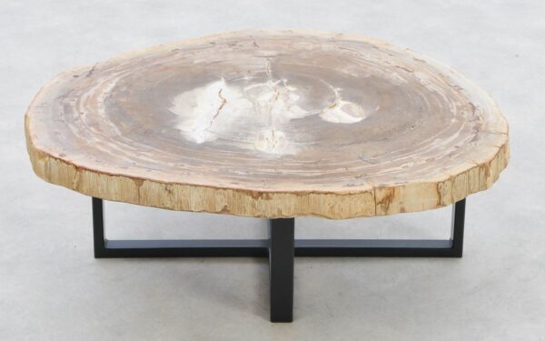 Coffee table petrified wood 42220