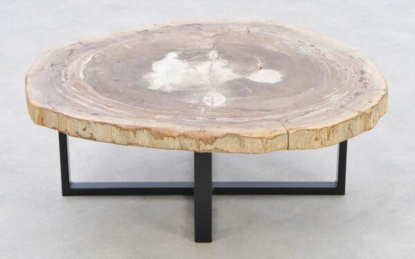 Coffee table petrified wood 42221