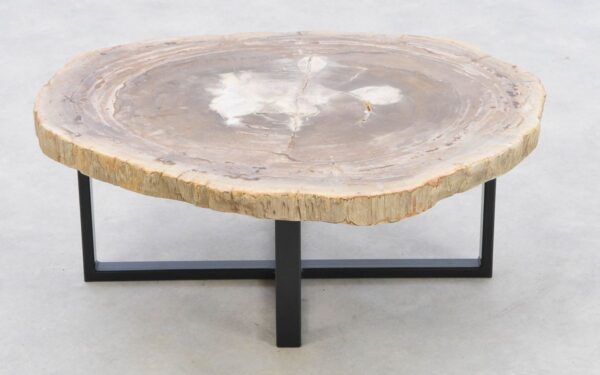 Coffee table petrified wood 42222