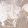 Coffee table petrified wood 42222