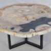 Coffee table petrified wood 42224
