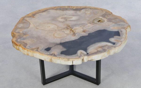 Coffee table petrified wood 42224