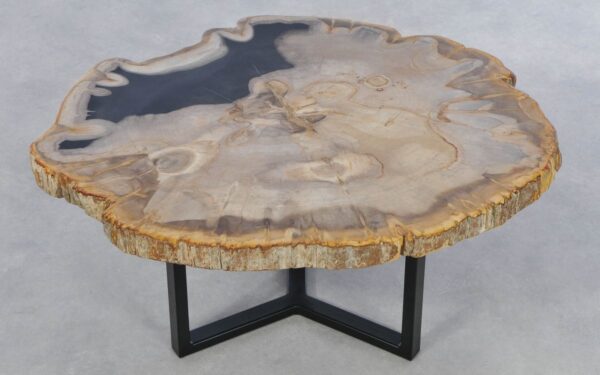 Coffee table petrified wood 42226
