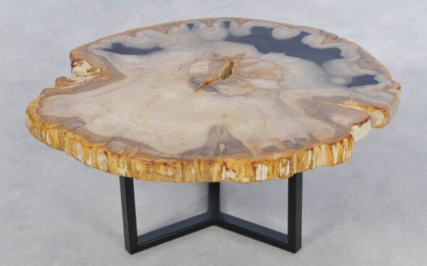 Coffee table petrified wood 42230