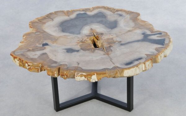 Coffee table petrified wood 42232