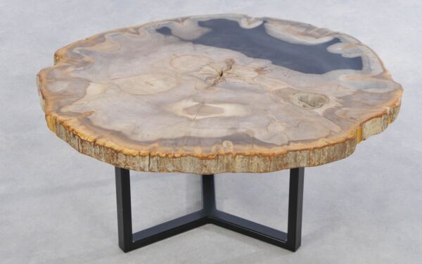 Coffee table petrified wood 42233