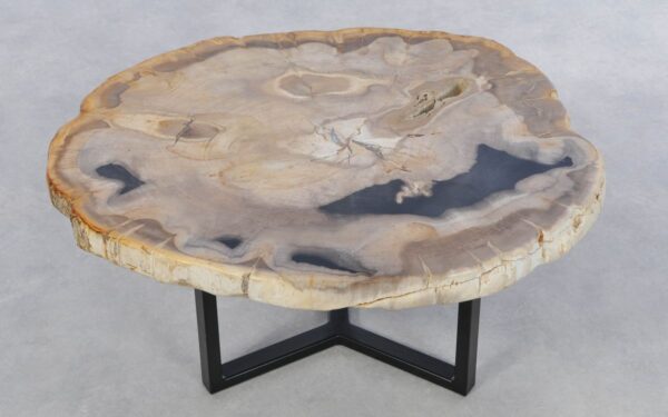 Coffee table petrified wood 42234