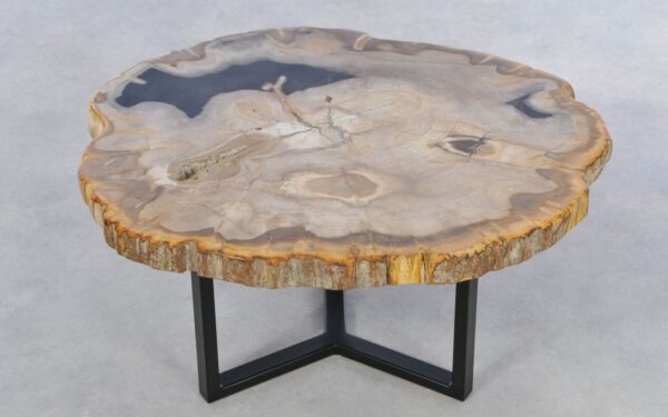 Coffee table petrified wood 42236