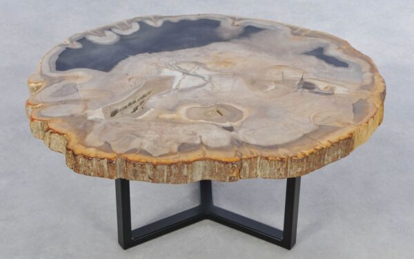 Coffee table petrified wood 42237
