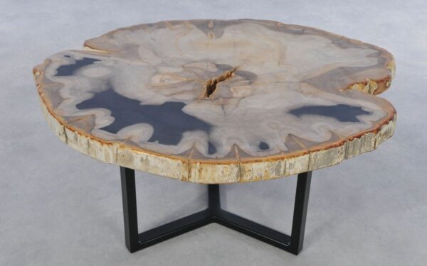 Coffee table petrified wood 42239