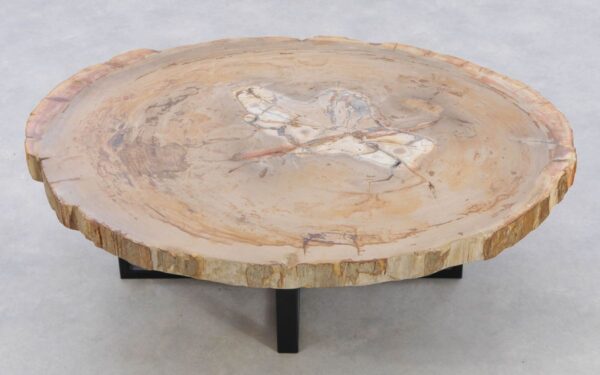Coffee table petrified wood 42243