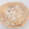 Coffee table petrified wood 42244